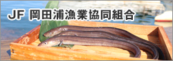 岡田浦漁業協同組合サイト